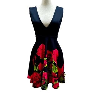 NWOT Deep V Sleeveless Fit & Flair Black Floral Dress